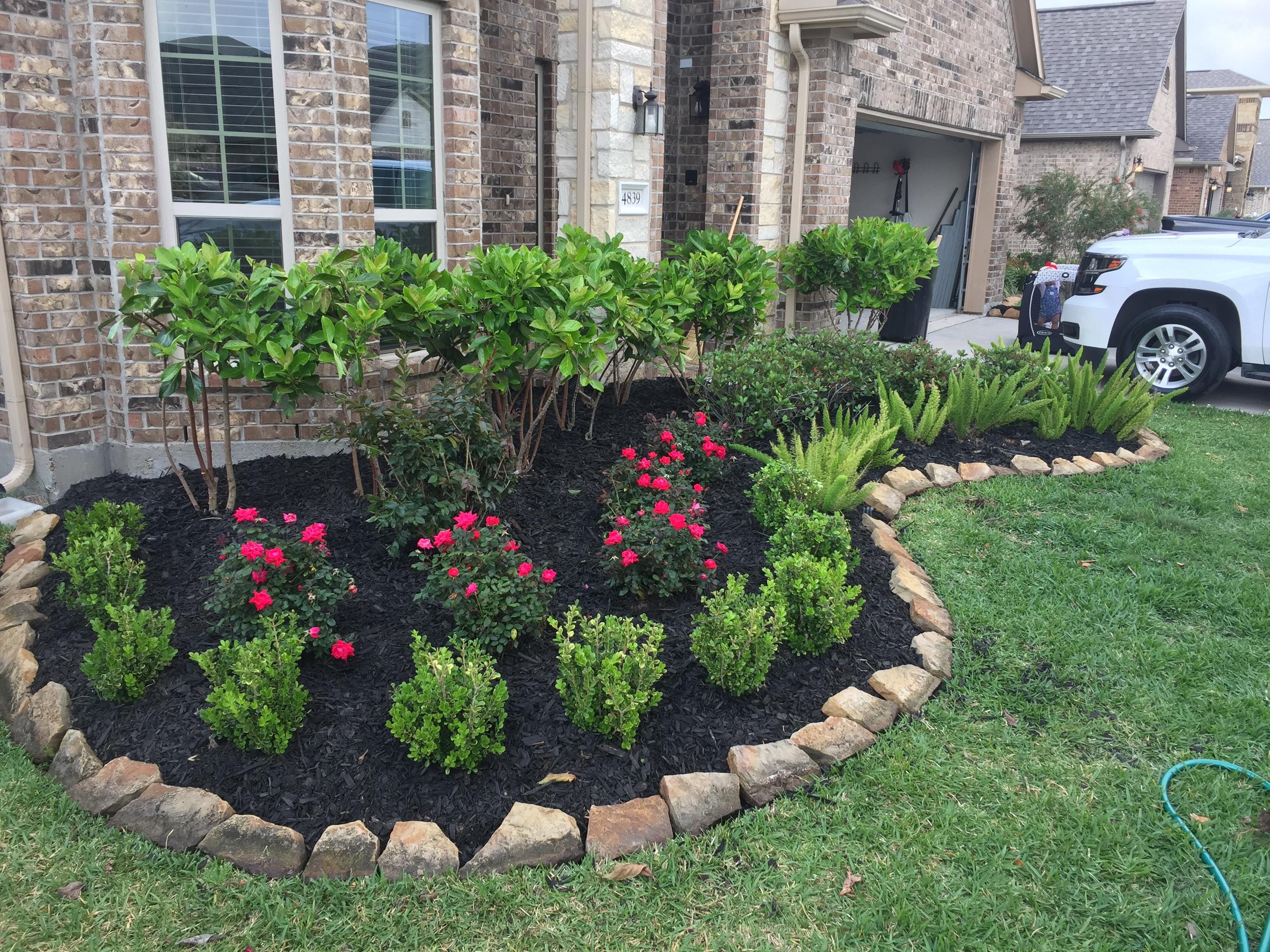Landscaped front yard with pink flowers — Precision Pro project