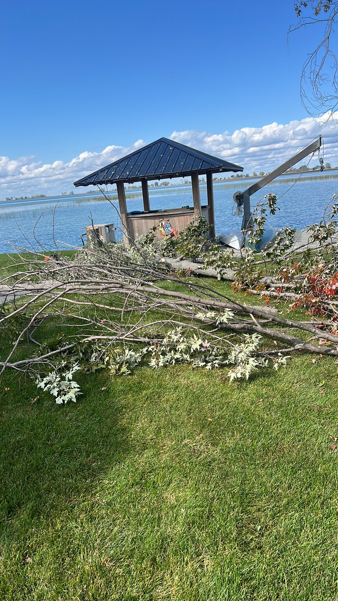 Tree service project — Precision Pro